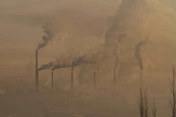 the plant with smoke and dirty air-pollution