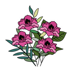 beautiful flowers and leafs decoration