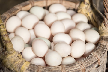 white chicken eggs in a wooden basket