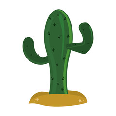 Cactus in desert isolated