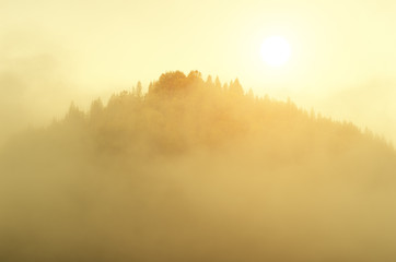 Fog and mountain morning landscape