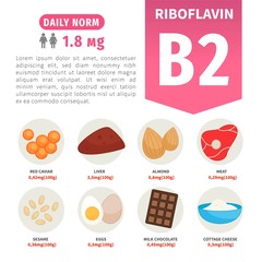 Vector poster products with vitamin B2. Cartoon illustrations of products.