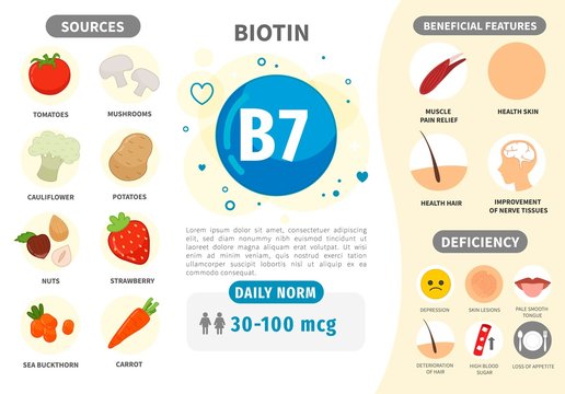 Infographics Vitamin B7. Products containing vitamin. Daily norm. Symptoms of deficiency. Vector medical poster.