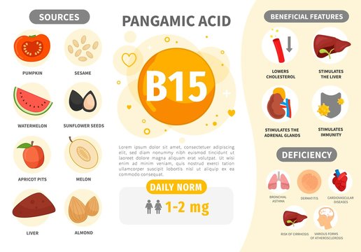 Infographics Vitamin B15. Products containing vitamin. Daily norm. Symptoms of deficiency. Vector medical poster.