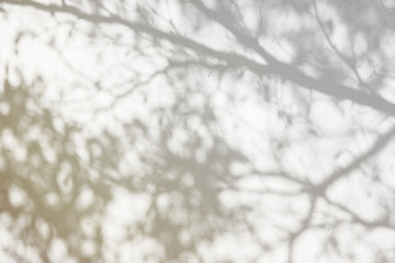Abstract shadow background of natural leaves tree