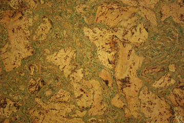 Portuguese cork, The texture of the  cork tree.