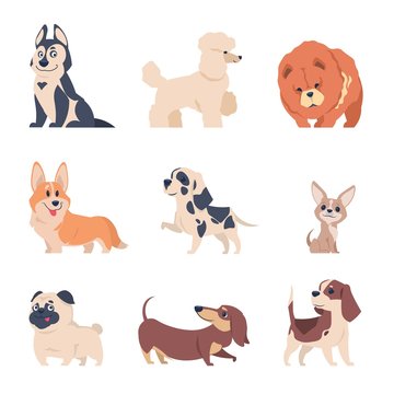 Cartoon dogs. Retriever labrador husky puppies, flat happy pets set, isolated home animals on white background. Vector dog set