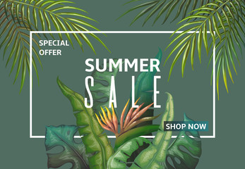 Summer sale banner. Palm leaves discount frame, jungle plants invitation postcard, weekend offer. Vector palm leaves banner