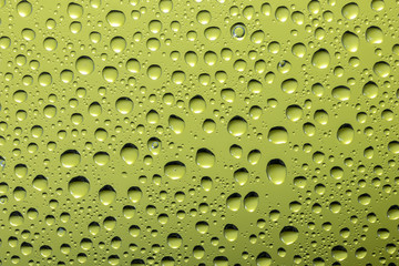 ガラスに付いた水滴 背景緑