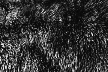 texture of natural gray wool, material, fur 