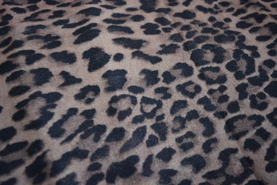 Very beautiful color of the leopard, leopard pattern black and beige color background in blots, dots