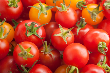 フレッシュなミニトマト