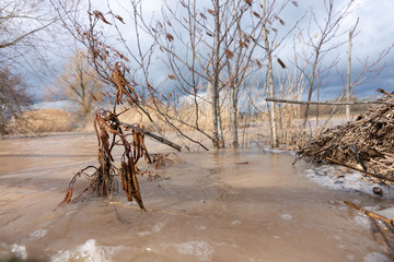Hochwasser an einem kleinen Bach im Frühling