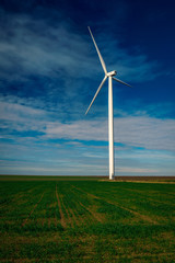 Fototapeta premium Eolian turbine with big propellers used to produce green energy seen from a wheat field in the spring