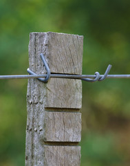 Wooden fence with metal wire