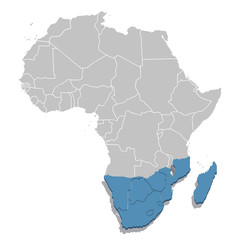 South Africa in blue on the grey model of Africa map. Vector illustration