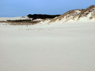 Dunes at the Baltic Sea. Sunny day in early spring.
