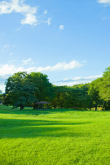 garden lawn , blue sky