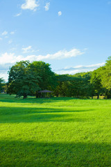 Fototapeta na wymiar garden lawn , blue sky