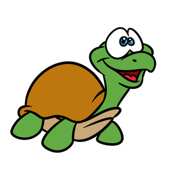 Turtle little animal cartoon illustration isolated image 