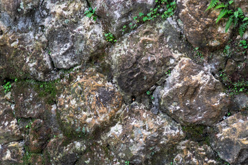 Selective focus detailed lichen covered white stone. Rock texture surface close up.