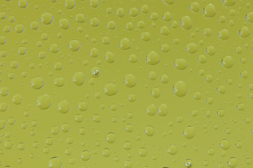 ガラスに付いた水滴 背景緑