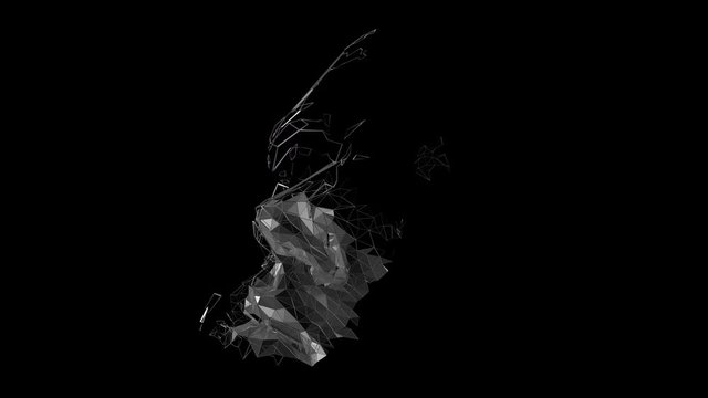 Abstract 3d animation, polygonal human face, 3d render, cyborg head construction, artificial intelligence concept, 4k video with alpha matte
