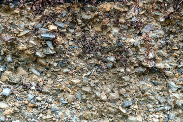 Close up small stone or rocks mixed with yellow brown ground soil texture.