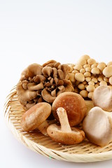 きのこ　しいたけ　ぶなしめじ　まいたけ　エリンギ 