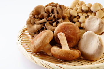 きのこ　しいたけ　ぶなしめじ　まいたけ　エリンギ 