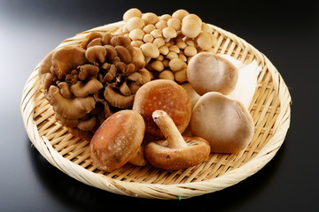 きのこ　しいたけ　ぶなしめじ　まいたけ　エリンギ