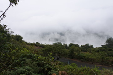 Fototapeta na wymiar Mountain mist