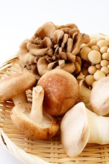 きのこ　しいたけ　ぶなしめじ　まいたけ　エリンギ 