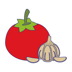 Tomato and garlic vegetables blue lines