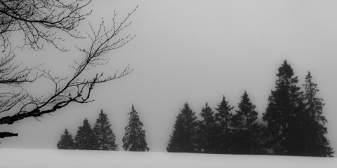 Le Jura en hiver 