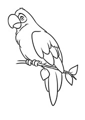 Parrot macaw bird animal character cartoon illustration isolated image coloring page