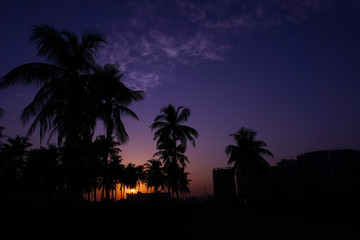 Obraz premium Sunset 