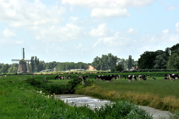 landscape, sky, field, grass, nature, green, meadow, summer, water, blue, rural, agriculture, farm, lake, tree, river, cloud, countryside, clouds, country, horizon, forest, land, village, hill, windmi