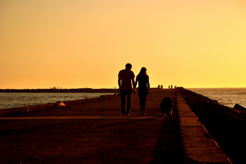 walking on the pier with the dog at sunset in the netherlands
