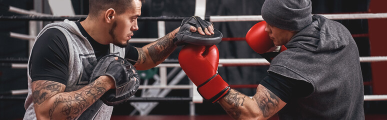 Favourite punch. Close-up of muscular athlete in red gloves training on boxing paws with partner in...