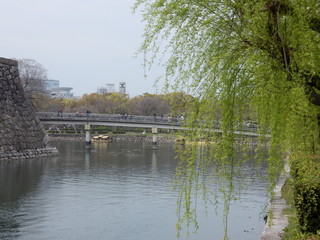 Fototapeta premium 大阪城公園 日本