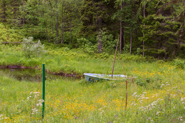 SOLOVKI, REPUBLIC OF KARELIA, RUSSIA - JUNE 27, 2018:  In the Botanical garden of the Solovetsky Islands. Solovki Islands, Arkhangelsk region, White Sea © Konstantin