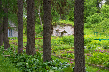 SOLOVKI, REPUBLIC OF KARELIA, RUSSIA - JUNE 27, 2018:  Old cellar in the Botanical garden on Solovki. Solovki Islands, Arkhangelsk region, White Sea © Konstantin