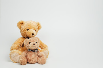 Teddy bear isolated on white background.