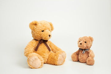 Teddy bear isolated on white background.