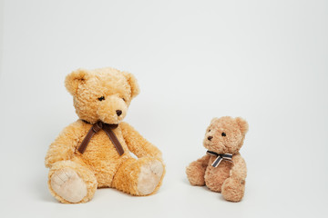 Teddy bear isolated on white background.