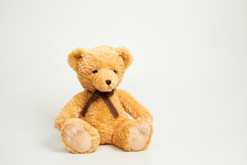 Teddy bear isolated on white background.