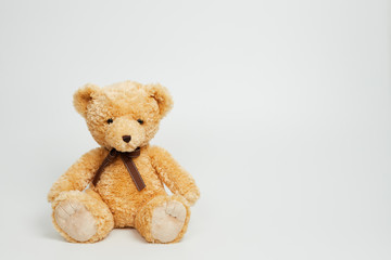 Teddy bear isolated on white background.