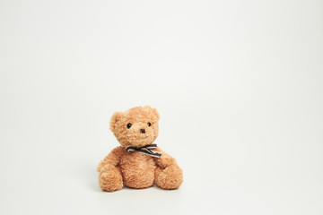 Teddy bear isolated on white background.