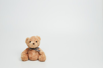 Teddy bear isolated on white background.